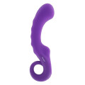 Caresse Era G-Spot Vibrator Paars
