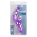 Crystal Naughty Dolphin Vibrator Paars