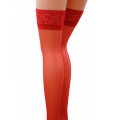 Passion ST022 Kousen Rood S/M