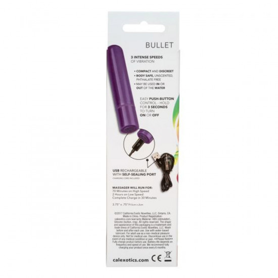 Tiny Teasers Bullet Paars